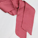 Garnet Gleam Skinny Game Day Scarf