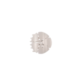 Tiny sand dollar shaped flat hair clip with a subtle shimmer finish and bendable teeth for comfortable all-day wear.