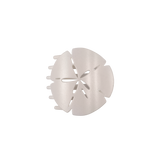 Medium sand dollar shaped flat hair clip with shimmering finish and comfortable flat-back design.