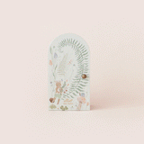 [Cuddle + Kind] Tiny Elliot the Fawn