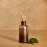[Capri Blue] Apple Oud Tuscan Radiance Reed Diffuser