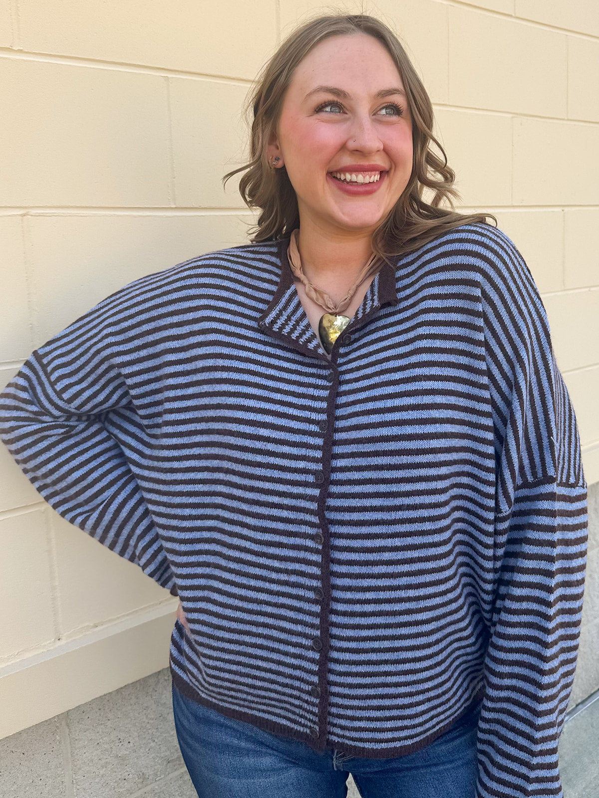 Crisp Morning light blue and brown striped button-front sweater
