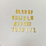 Gold Slide On Scarf Initial