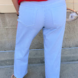 [Dear John] Taylor Mid Rise Straight Jeans in Skyway Stripe