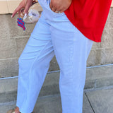 [Dear John] Taylor Mid Rise Straight Jeans in Skyway Stripe