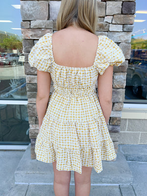 In Full Bloom Gingham Floral Dress | Back View