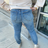 Judy Blue The Livvy High Rise Skinny Jeans - Curvy