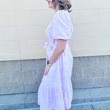 Tea House Social Embroidered Dress in Pink