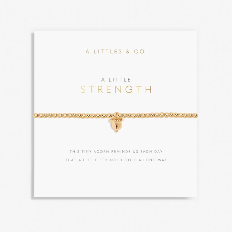 {A Littles & Co} A Little 'Strength' Bracelet - The Pink Pineapple 850
