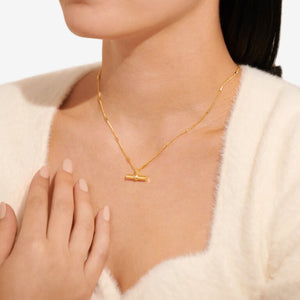 Aura Bar Necklace in Gold-Tone Plating | Styled View