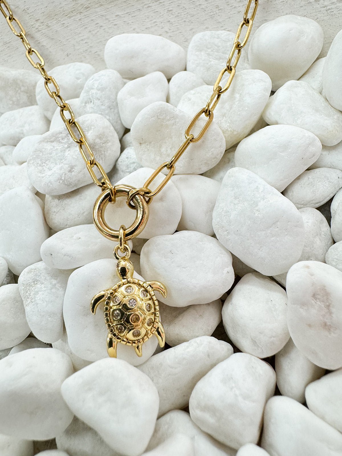 All Things Coastal Charms - The Pink Pineapple 850