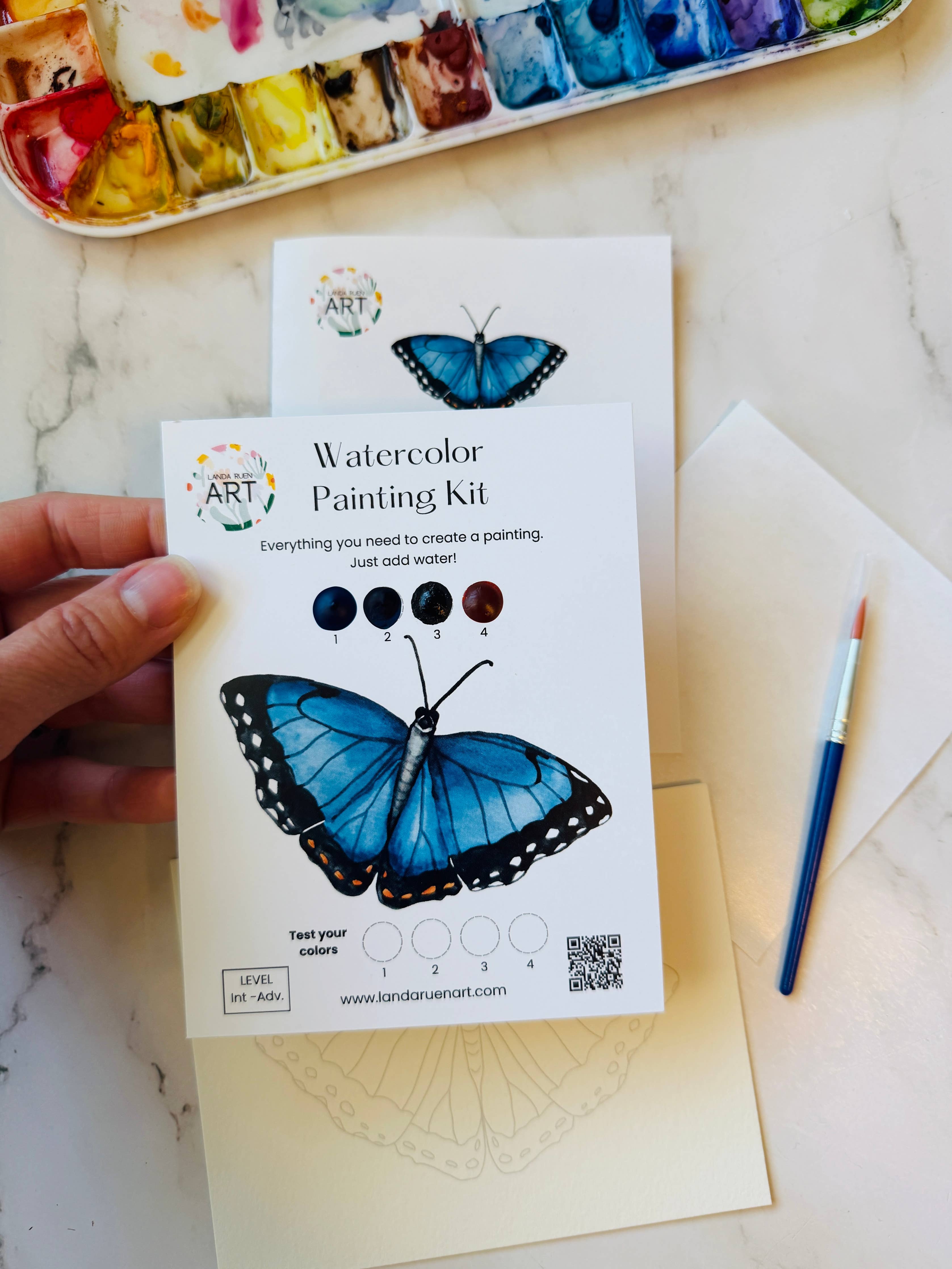 Blue Morpho butterfly watercolor painting kit with outlined butterfly artwork and watercolor paints