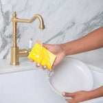 Biodegradable Pop - Up Sponge Set - Will Clean for Wine - The Pink Pineapple 850