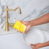 Biodegradable Pop - Up Sponge Set - Will Clean for Wine - The Pink Pineapple 850