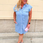 Blue Skies Ahead Mini Dress - The Pink Pineapple 850