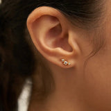 Brenda Grands Crystal Studs - The Pink Pineapple 850