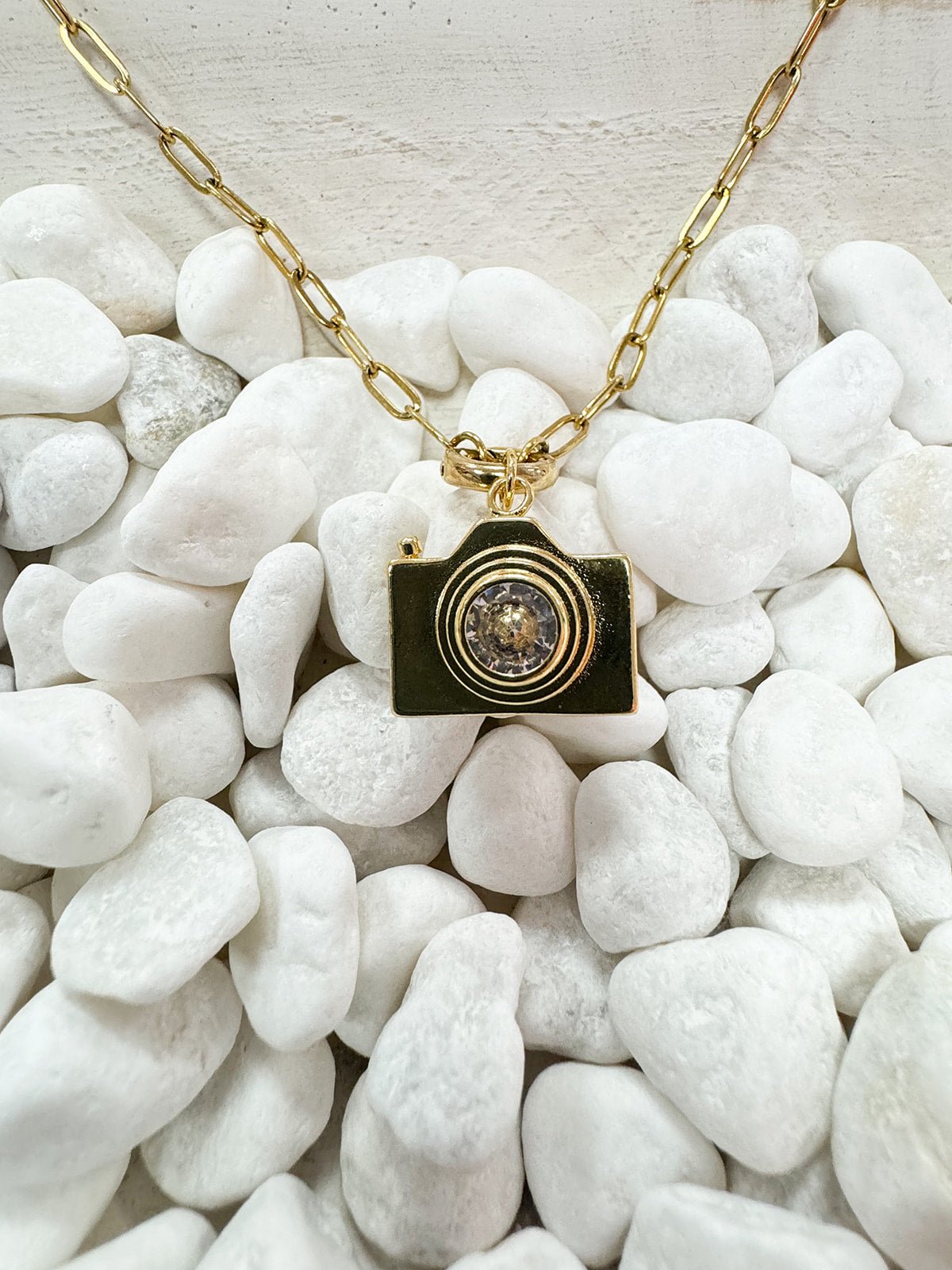 Camera Charm - The Pink Pineapple 850