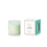 [Capri Blue] Aloha Orchid Luce d'Amalfi Boxed Tumbler Candle - The Pink Pineapple 850