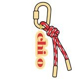 Chi Omega Sorority Keychain - The Pink Pineapple 850