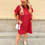 Cider Hour Suede Shirt Mini Dress - The Pink Pineapple 850