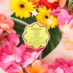 Coconut Verbena Daisy Spongette - The Pink Pineapple 850