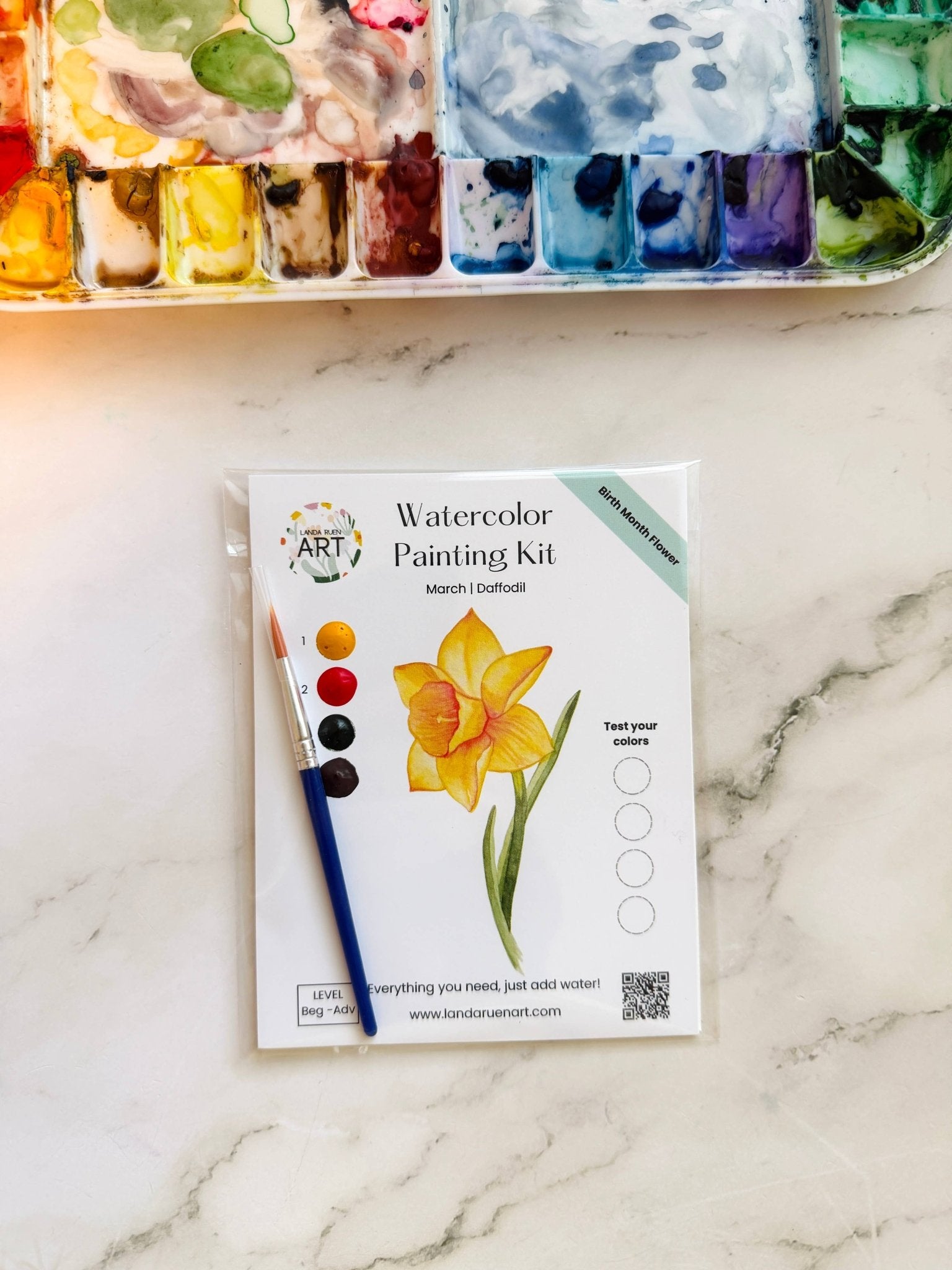 Daffodil Watercolor Kit | March Birth Month Flower - The Pink Pineapple 850