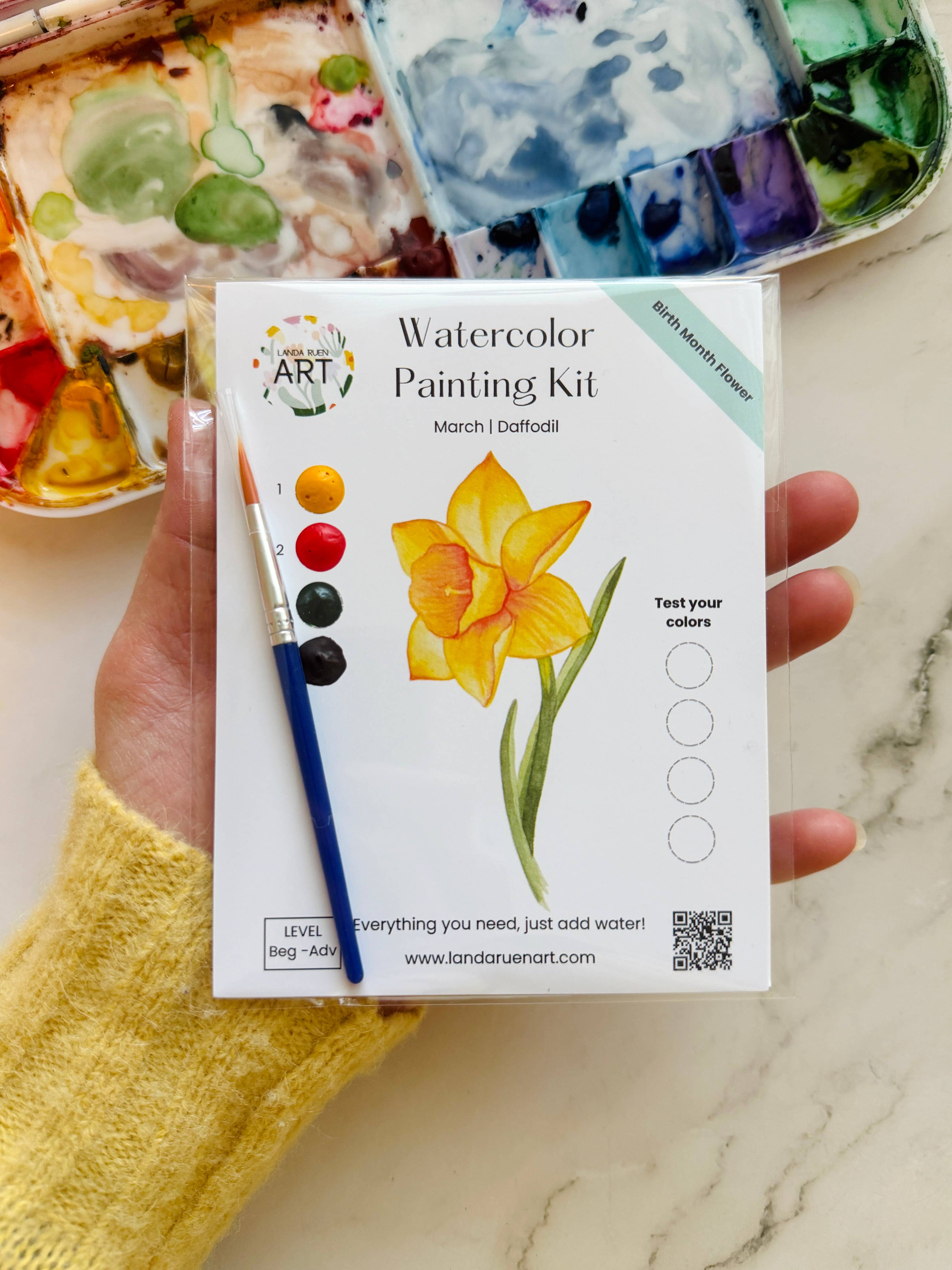 Daffodil watercolor painting kit with floral outline, watercolor paints, paintbrush, and beginner instructions