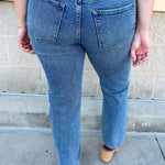 [Dear John] Anika Straight Jeans in Hazlett - The Pink Pineapple 850