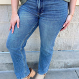 [Dear John] Anika Straight Jeans in Hazlett - The Pink Pineapple 850