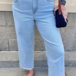[Dear John] Holly Bubble Bath High Rise Jeans - The Pink Pineapple 850