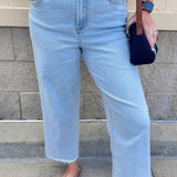 [Dear John] Holly Bubble Bath High Rise Jeans - The Pink Pineapple 850
