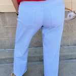 [Dear John] Taylor Mid Rise Straight Jeans in Skyway Stripe - The Pink Pineapple 850