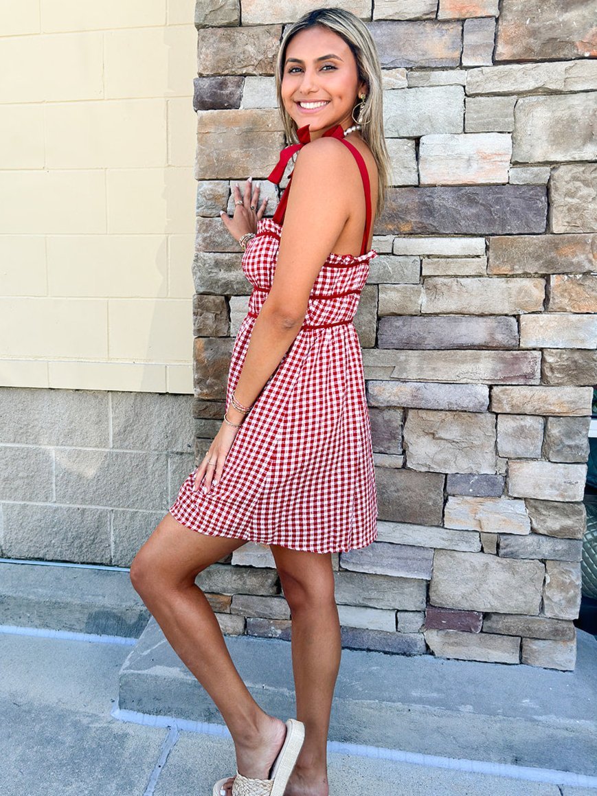 [FINAL SALE] Tailgate Cutie Gingham Dress - The Pink Pineapple 850