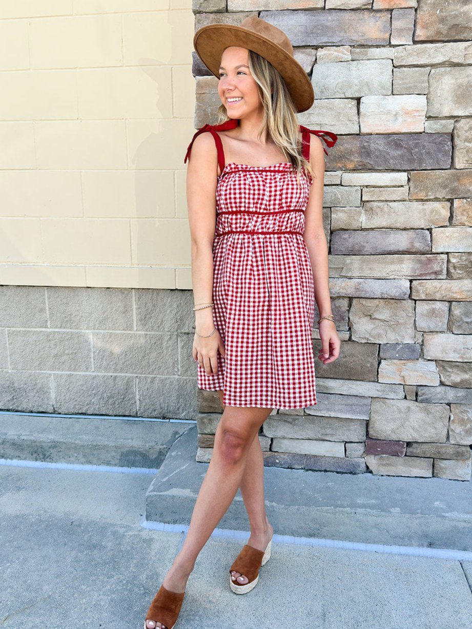 [FINAL SALE] Tailgate Cutie Gingham Dress - The Pink Pineapple 850