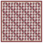 Florida State Spirit Scarf - The Pink Pineapple 850