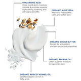 Jack Black Big Sir Body Lotion 16oz - The Pink Pineapple 850