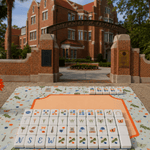 Limited Edition Gainesville Florida UF Gator Gameday Mahjong Tiles- PREORDER - The Pink Pineapple 850