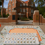 Limited Edition Gainesville Florida UF Gator Gameday Mahjong Tiles- PREORDER - The Pink Pineapple 850