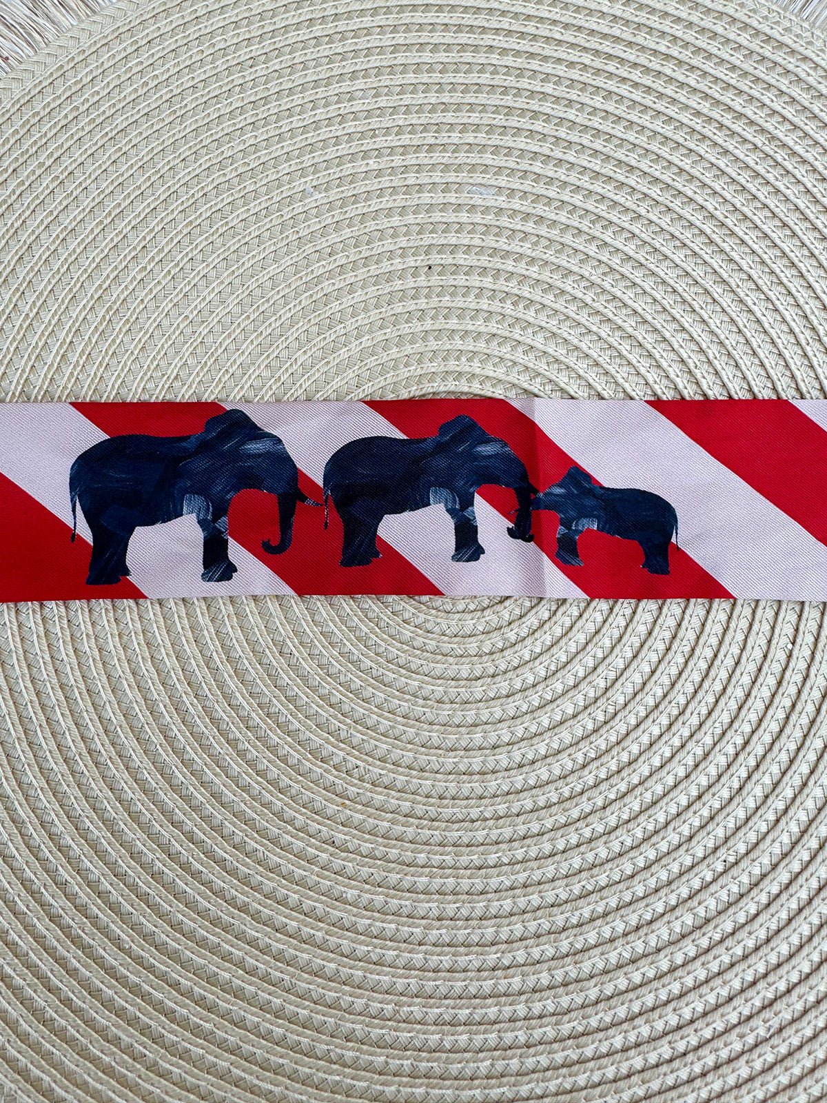 Parade & Stripes Skinny Scarf - The Pink Pineapple 850