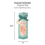 [Petit Bon Bon] Tropical Teal Sugar Scrub - The Pink Pineapple 850