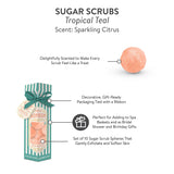 [Petit Bon Bon] Tropical Teal Sugar Scrub - The Pink Pineapple 850