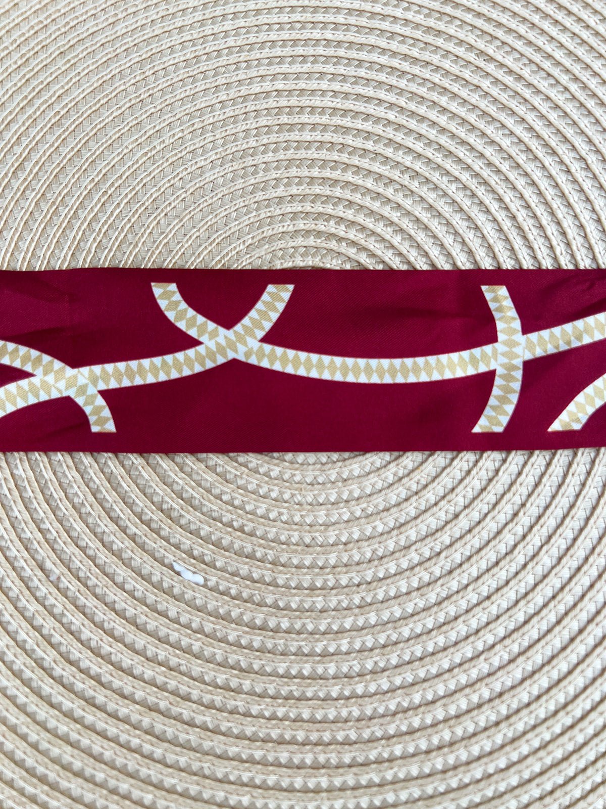 [Saturday Silks] Florida State Gameday Skinny Scarf - The Pink Pineapple 850