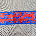 Skinny Scarf – Florida Gators - The Pink Pineapple 850
