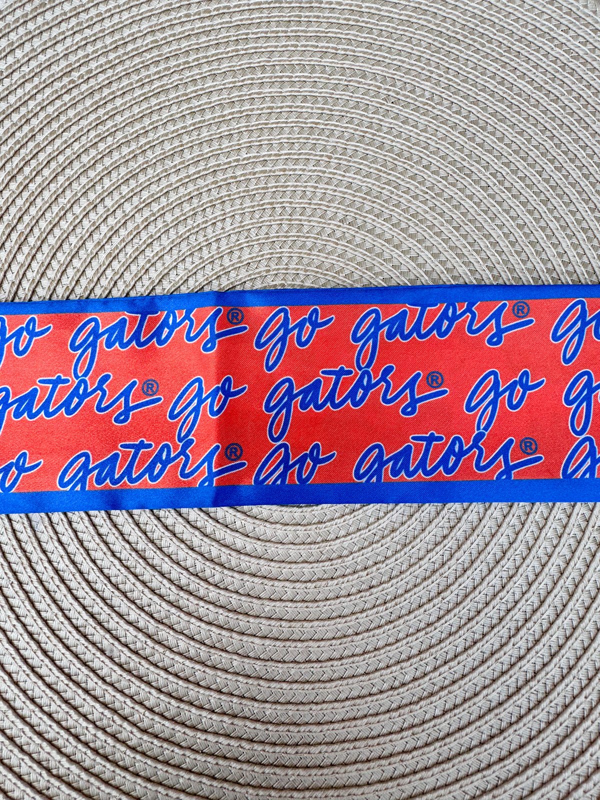 Skinny Scarf – Florida Gators - The Pink Pineapple 850