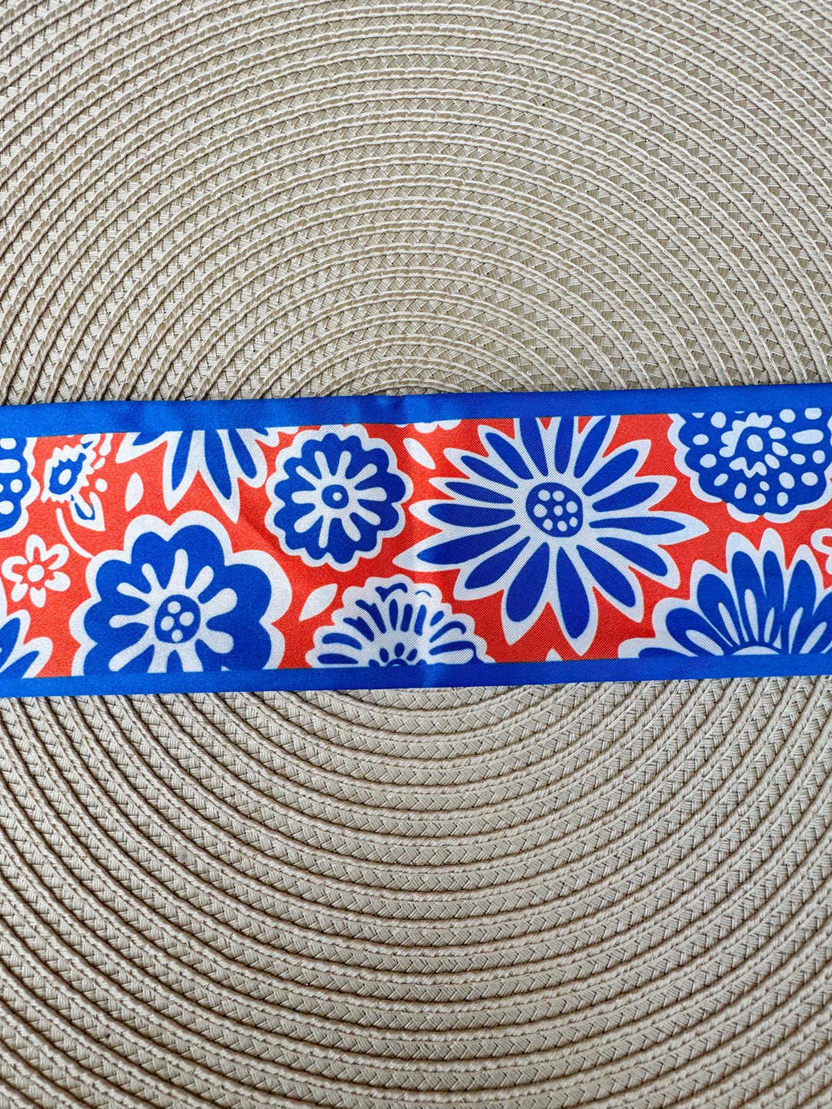 Skinny Scarf – Florida Gators - The Pink Pineapple 850