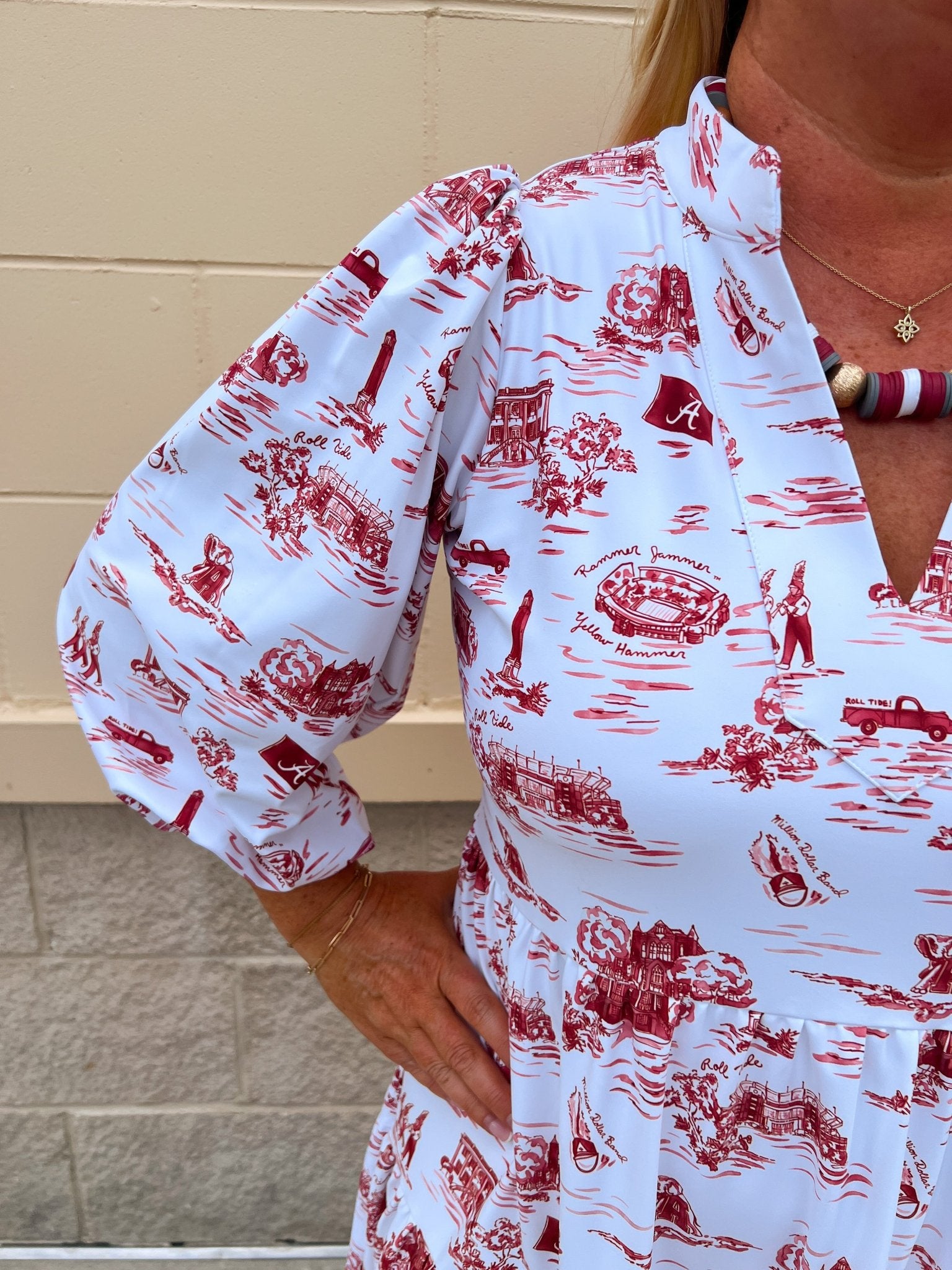 [Smith & Quinn] Tory Dress - Alabama Gameday Toile - The Pink Pineapple 850