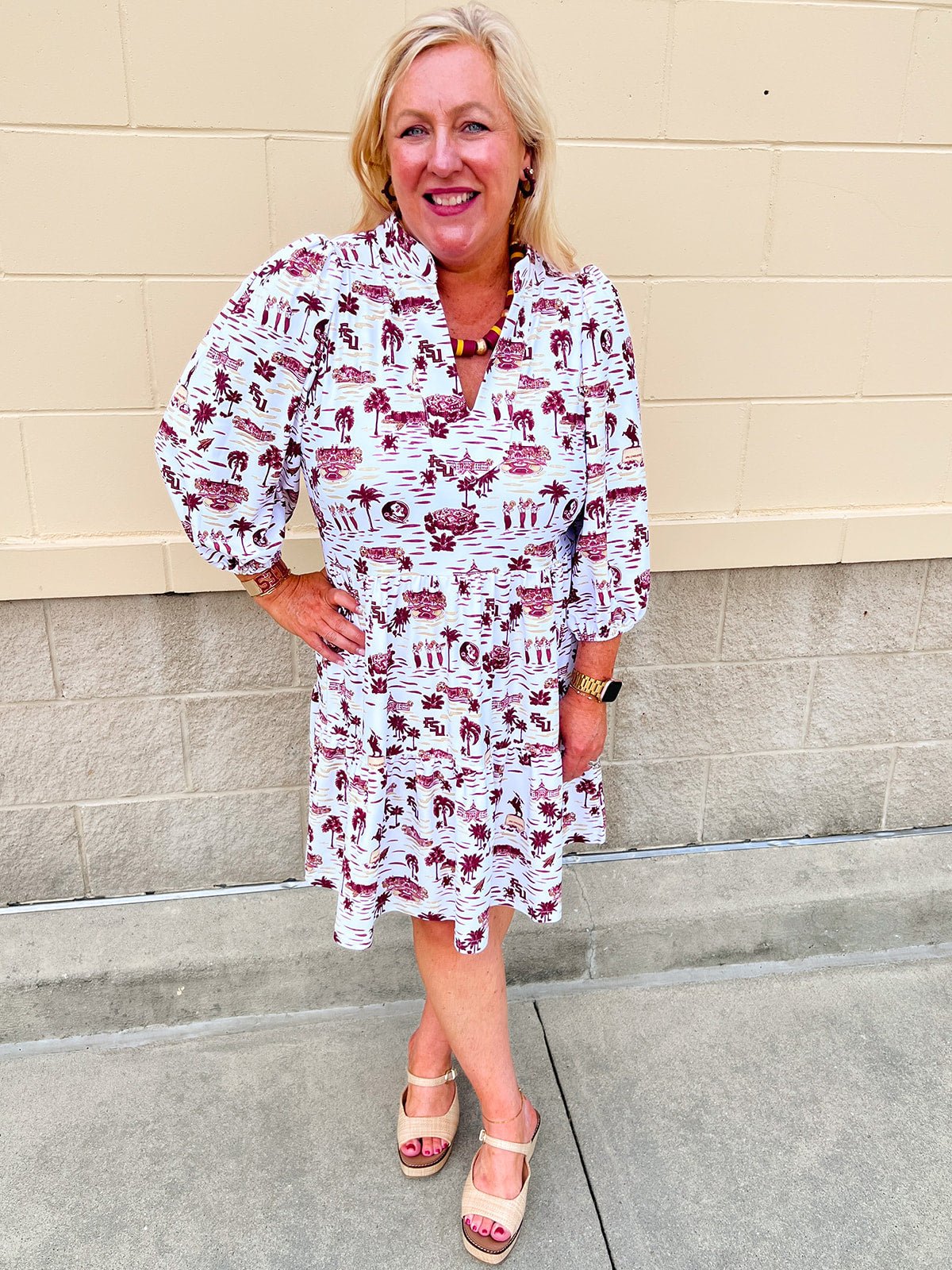 [Smith & Quinn] Tory Dress – Florida State Gameday Toile - The Pink Pineapple 850