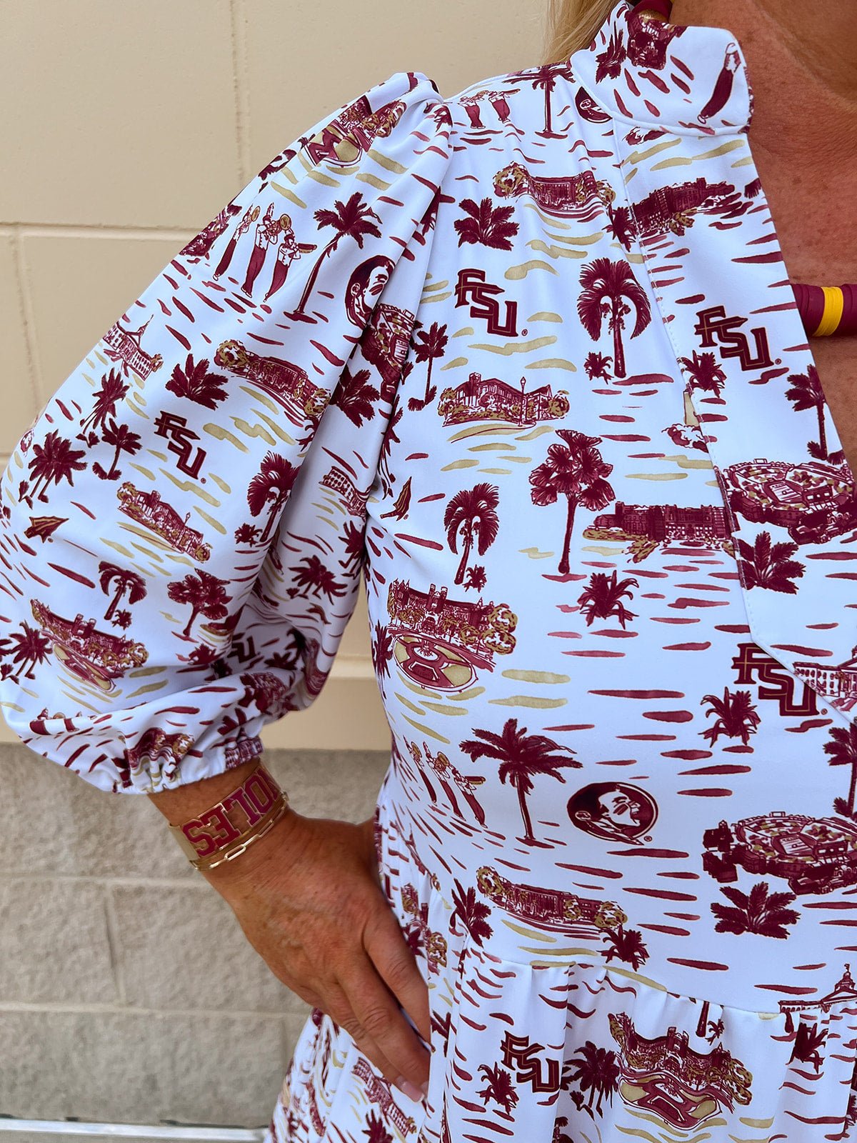 [Smith & Quinn] Tory Dress – Florida State Gameday Toile - The Pink Pineapple 850