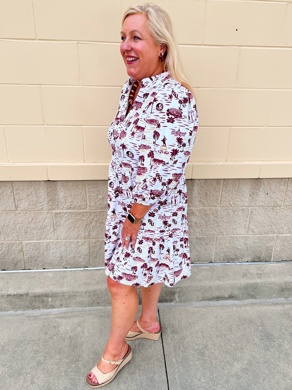 [Smith & Quinn] Tory Dress – Florida State Gameday Toile - The Pink Pineapple 850