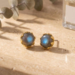 [Sorrelli] Odessa Stud Earrings - Labradorite - The Pink Pineapple 850